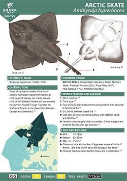 Arctic Skate ID Guide (pdf)