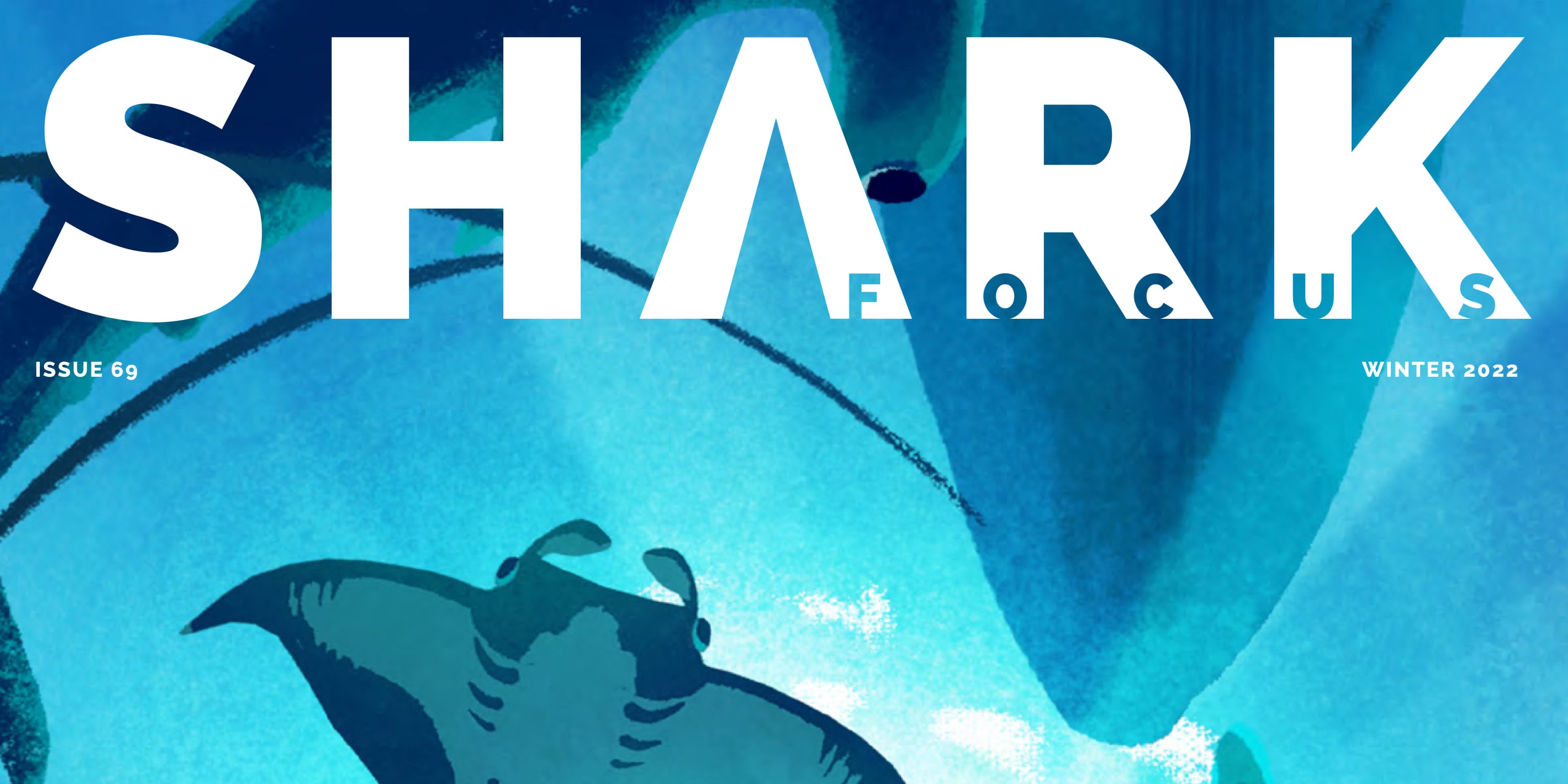 Shark Focus