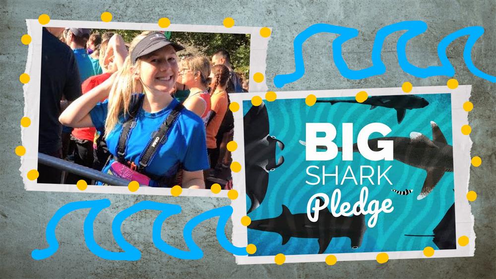Fern takes on the London Marathon for the Shark Trust