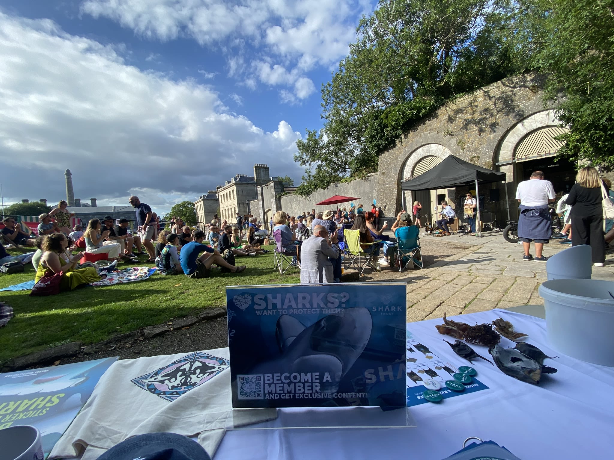 Shark Month at Royal William Yard