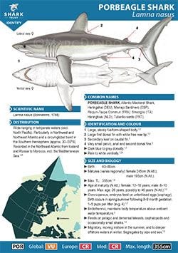 Porbeagle ID Guide (pdf)