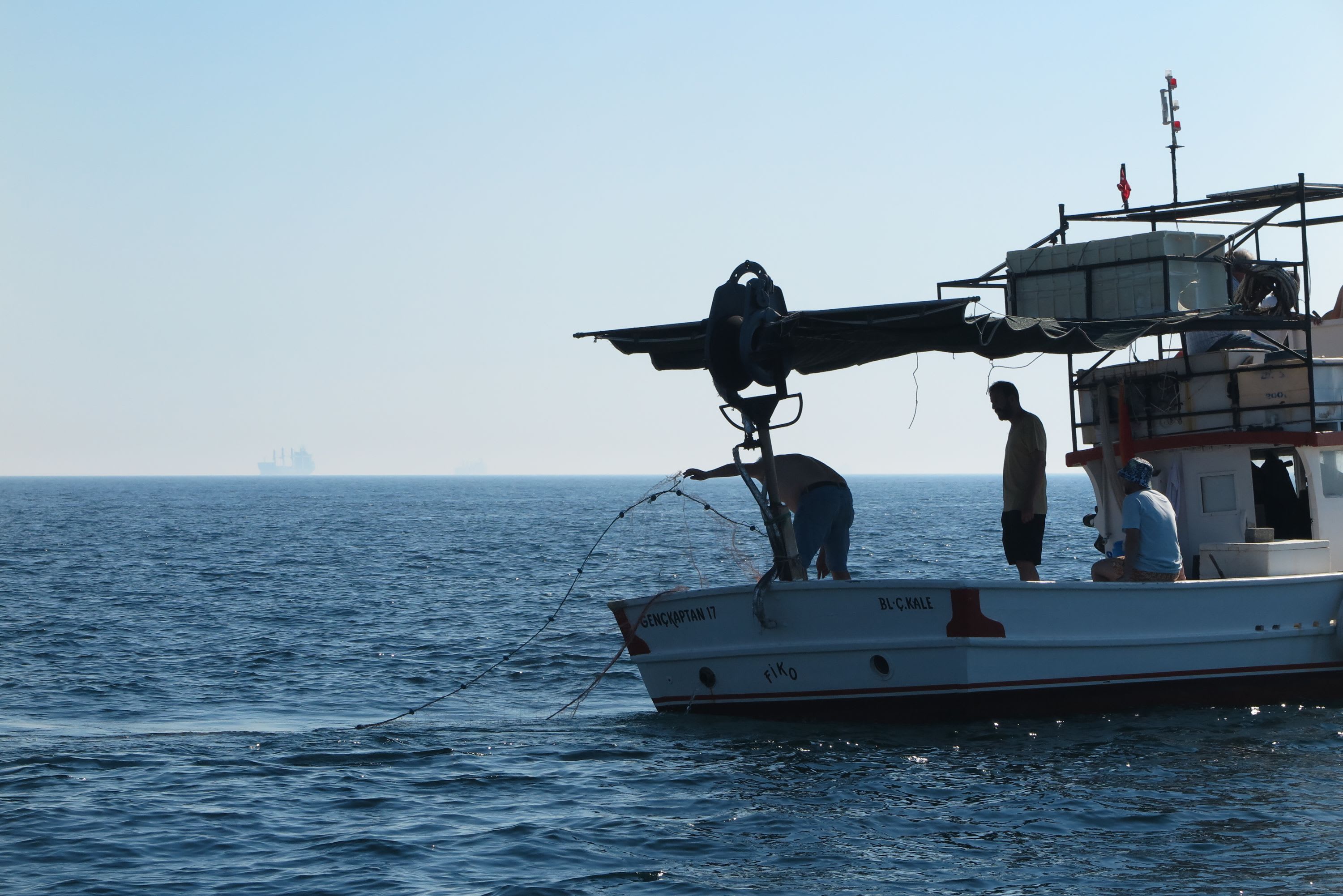 Mediterranean Programme Angel Shark Marmara Expedition