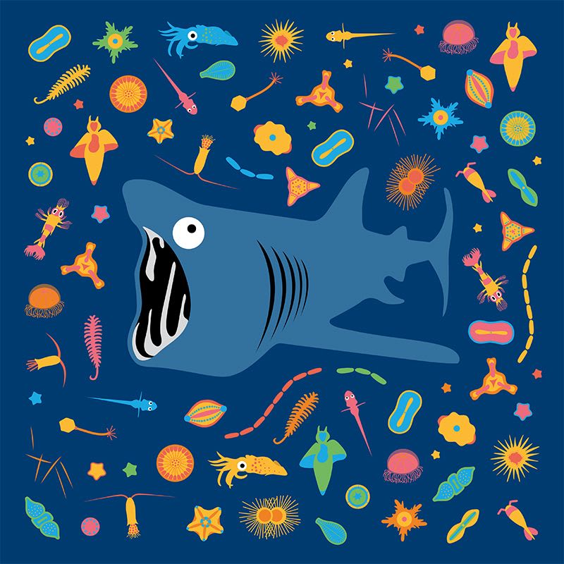 Love Sharks 2021 Calendar - Basking Shark Design