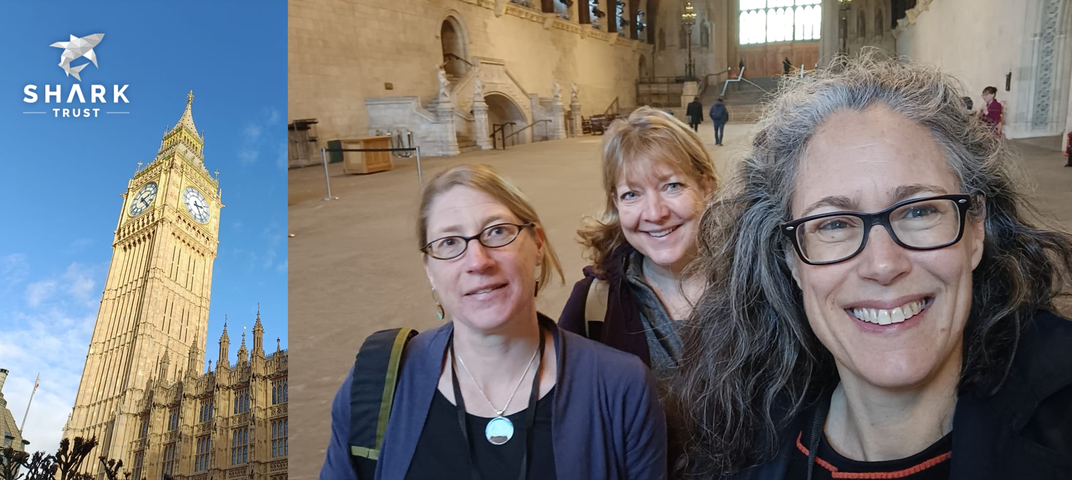 UK's Shark Fins Bill pass 3rd reading in the House of Commons