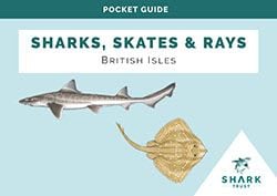 Pocket Guide Introductory Pages