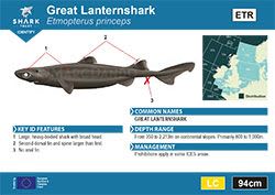 Great Lanternshark Pocket Guide (pdf)