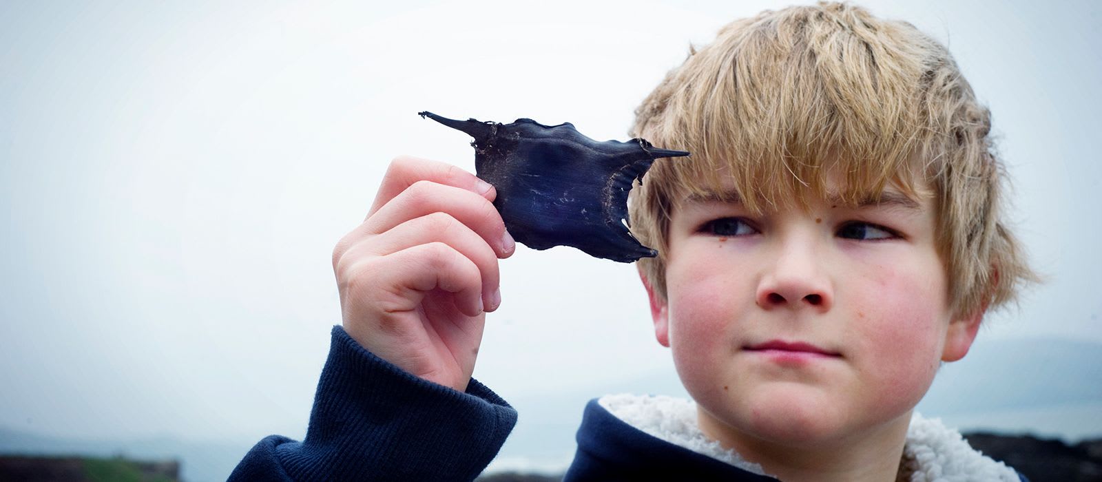 Great Eggcase Hunt Donation