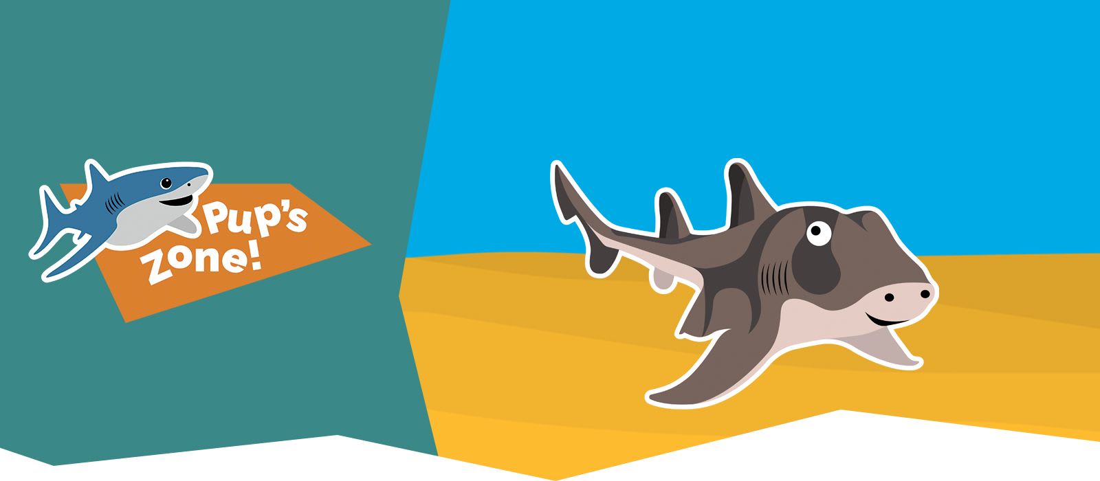 Meet Percy the Port Jackson Shark
