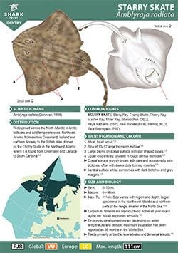 Starry Skate ID Guide (pdf)