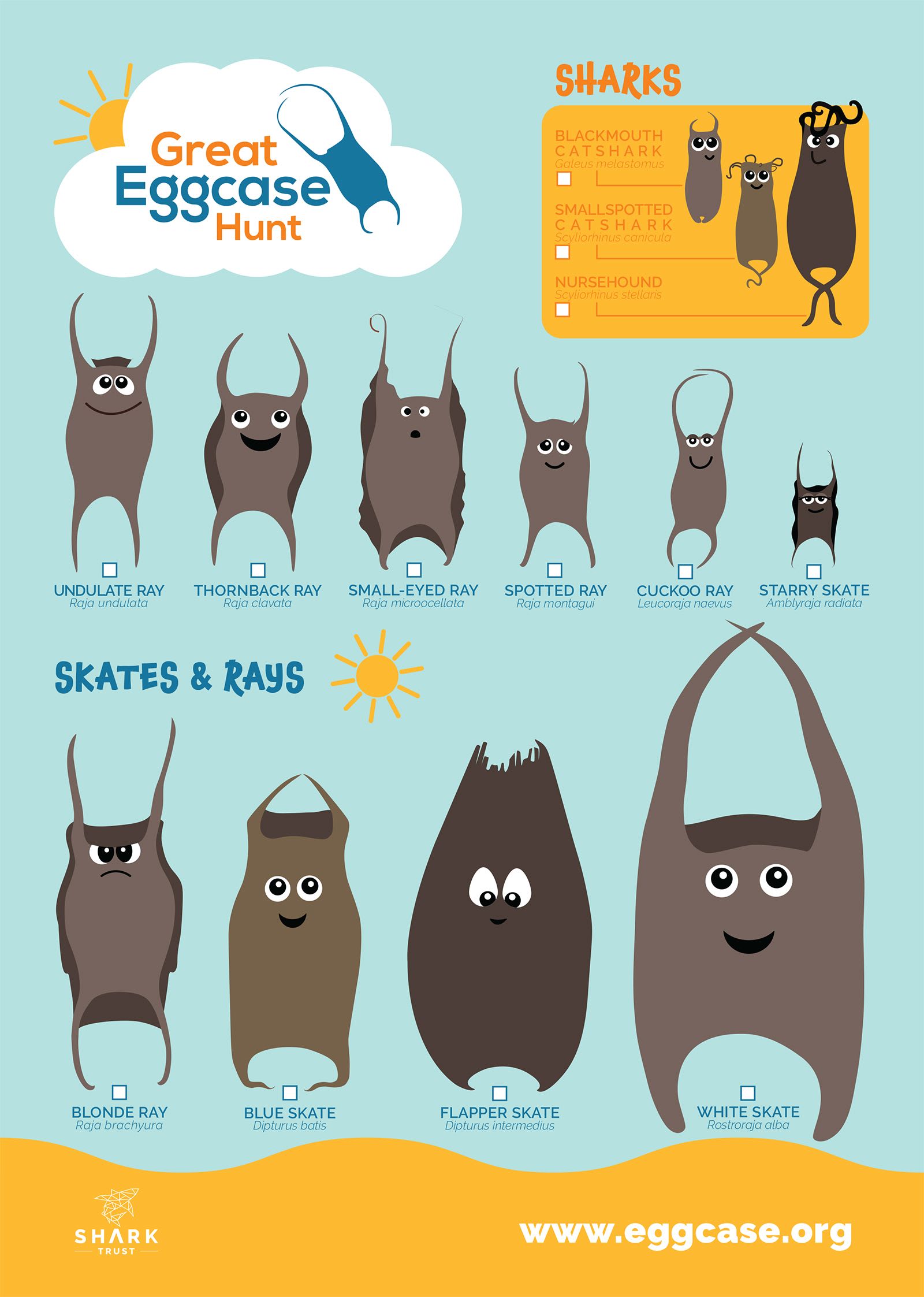 Junior Eggcase ID Guide