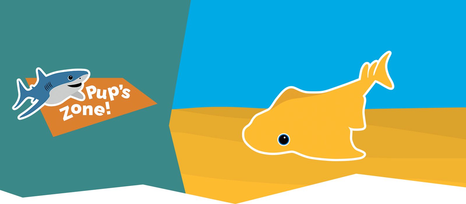 Meet Angel the Angelshark