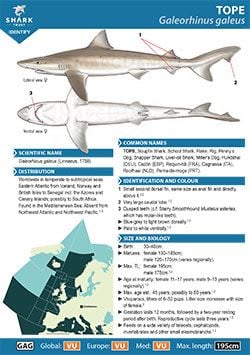 Tope ID Guide (pdf)