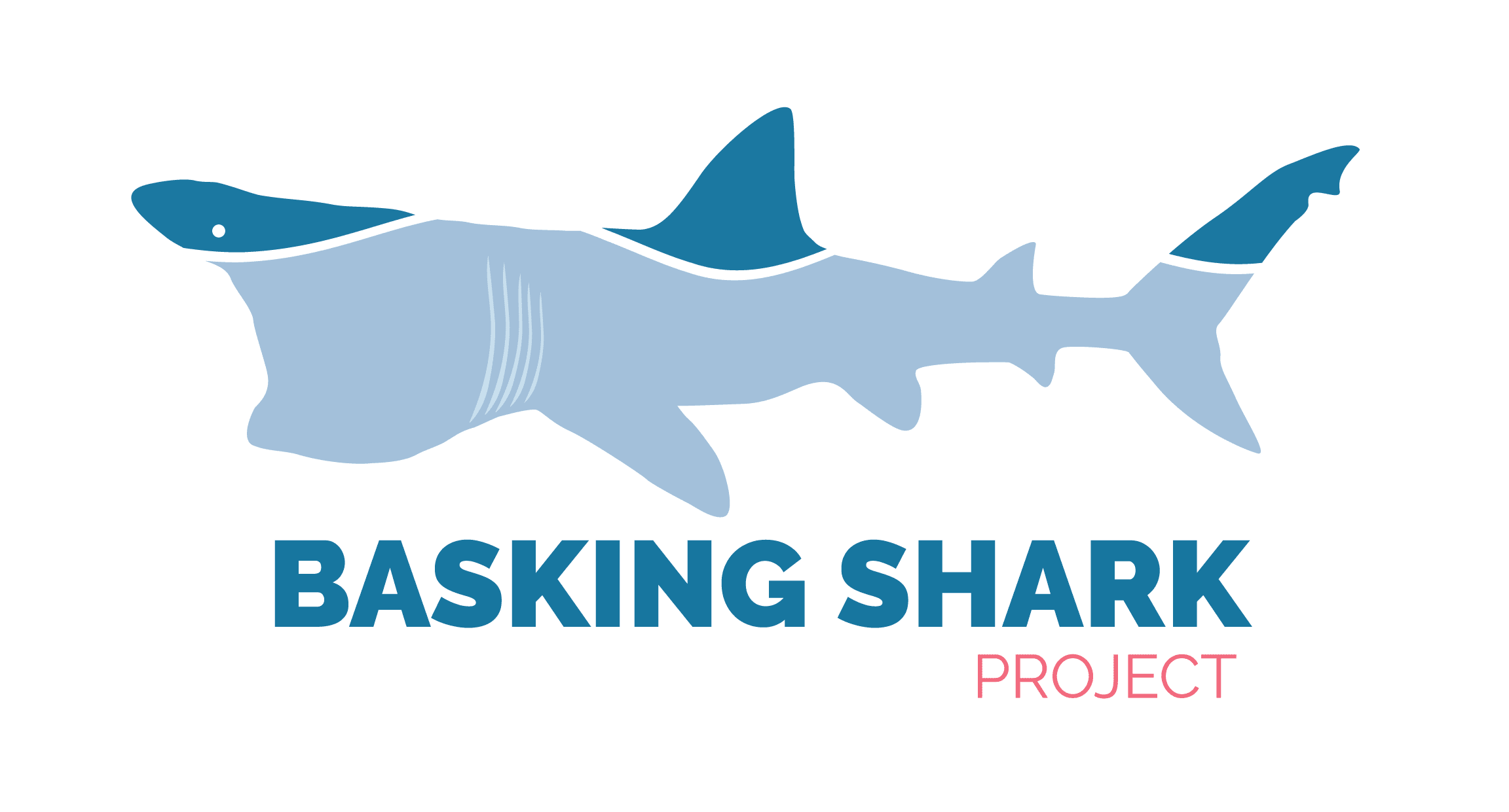 Basking Shark Project