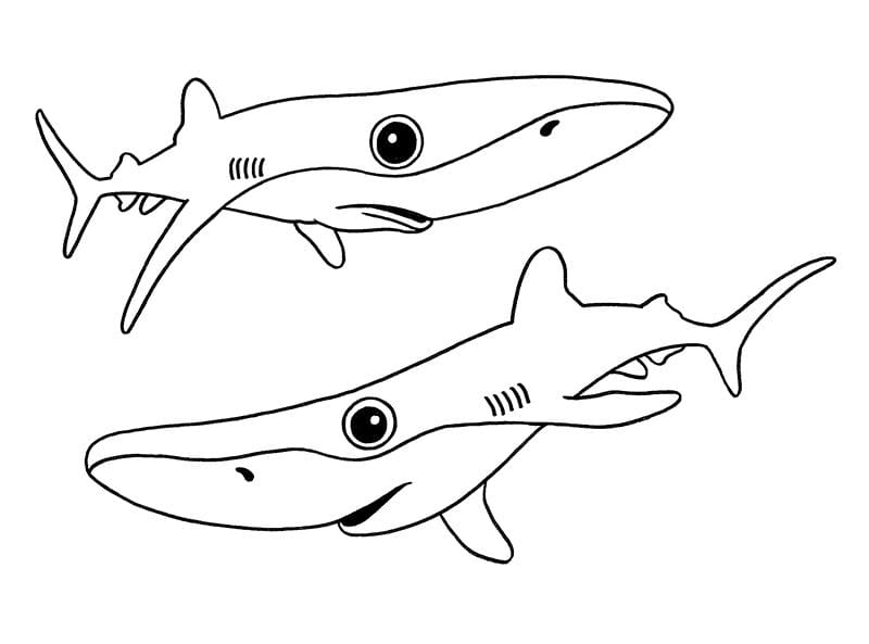 Love Sharks 2021 Calendar - Blue Shark artwork