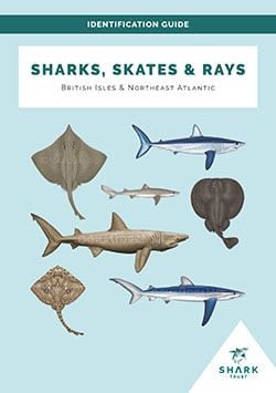 Pocket Guide Introductory Pages