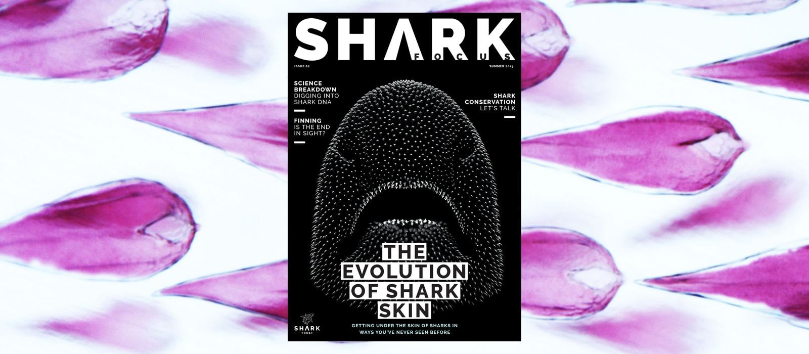 Shark Focus Magazine (Issue 62) – Out Now!