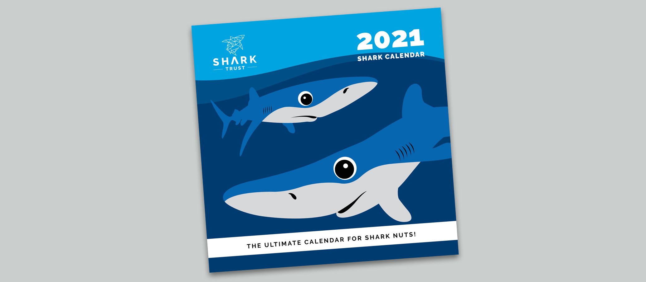 Behind the Designs: LOVE SHARKS Calendar