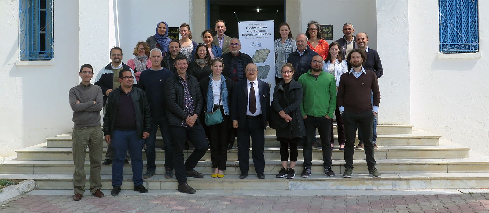 Initiative launched to Avert Crisis for Critically Endangered Mediterranean Angel Sharks