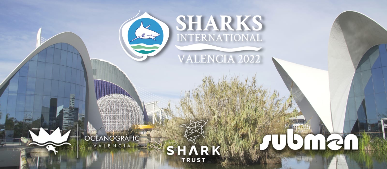 Shark Trust to host 2022 Sharks International Conference
