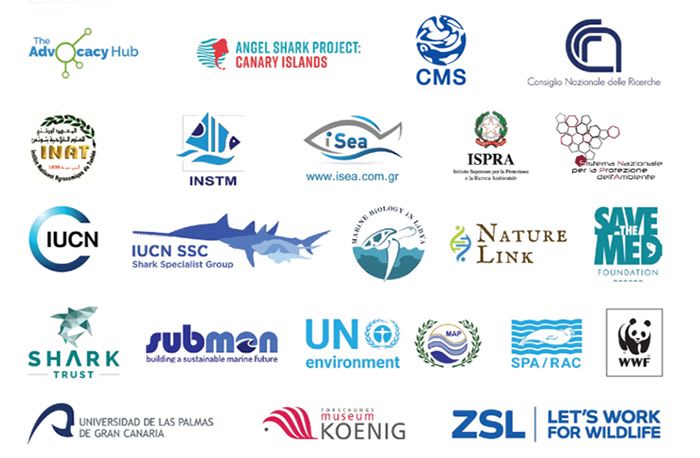 Angelshark Collaborator logos