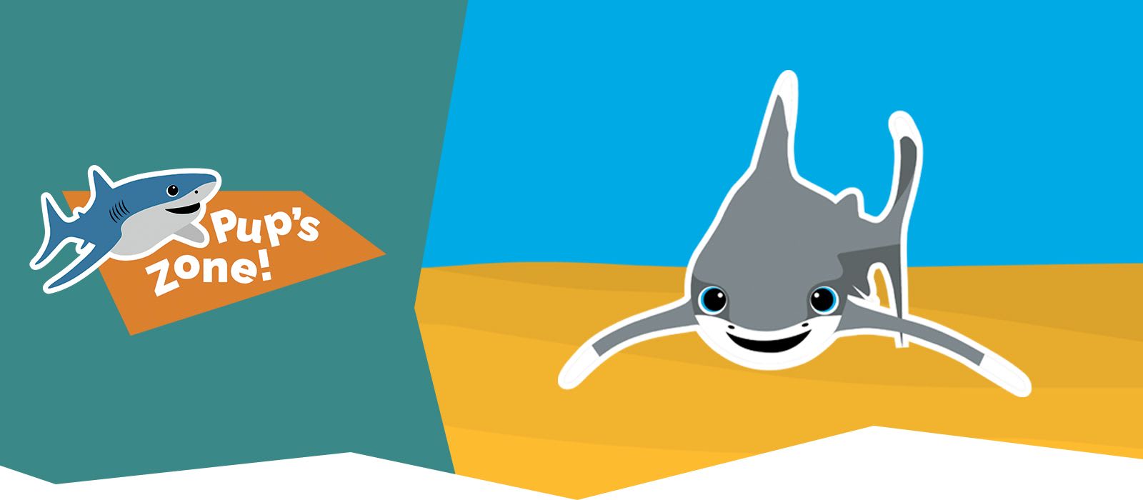 Meet Oscar the Oceanic Whitetip Shark
