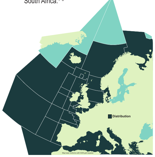Map of the known distribution of the Basking Shark