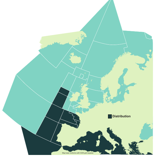 Map of the known distribution of the Bigeye Thresher Shark