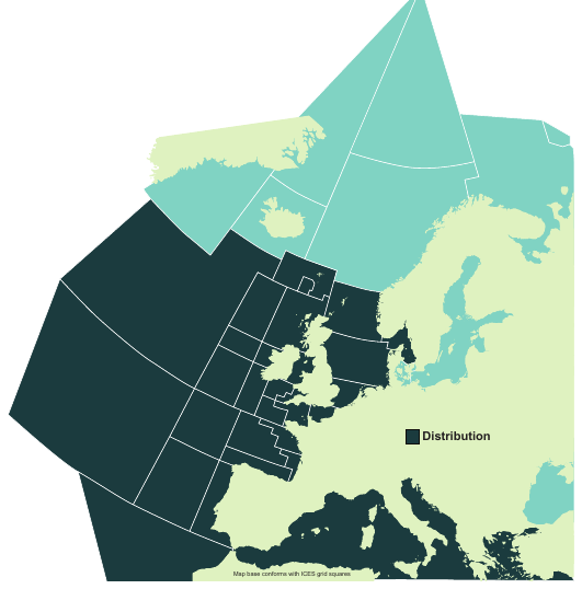 Map of the known distribution of the Common Thresher Shark