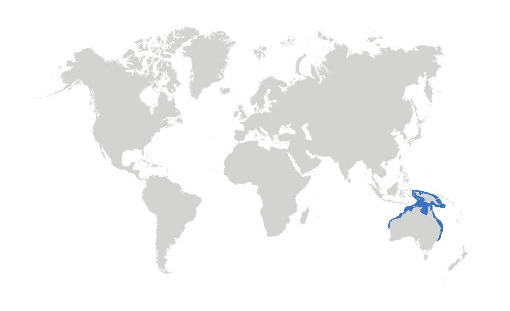 Map of the known distribution of the Epaulette Shark