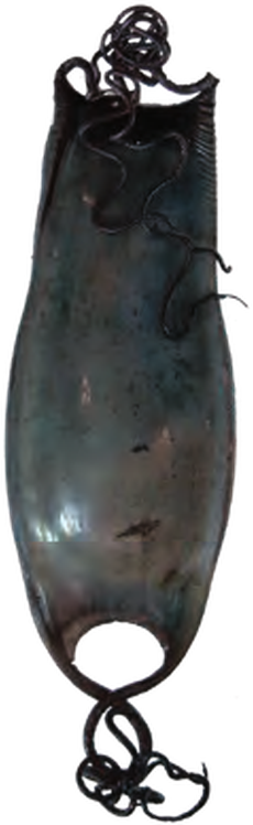 Illustration of the Nursehound eggcase