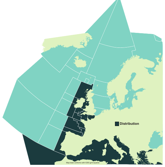 Map of the known distribution of the Nursehound