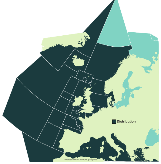 Map of the known distribution of the Porbeagle