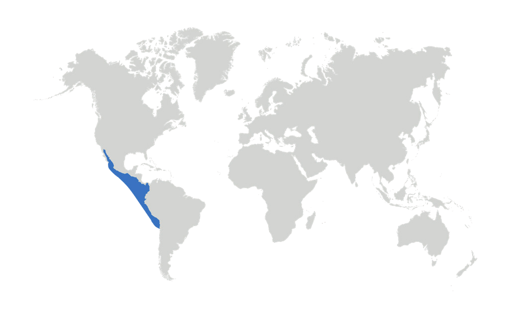 Map of the known distribution of the Pygmy Devil Ray