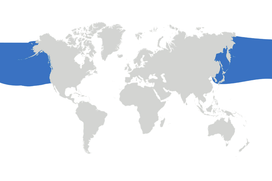 Map of the known distribution of the Salmon Shark