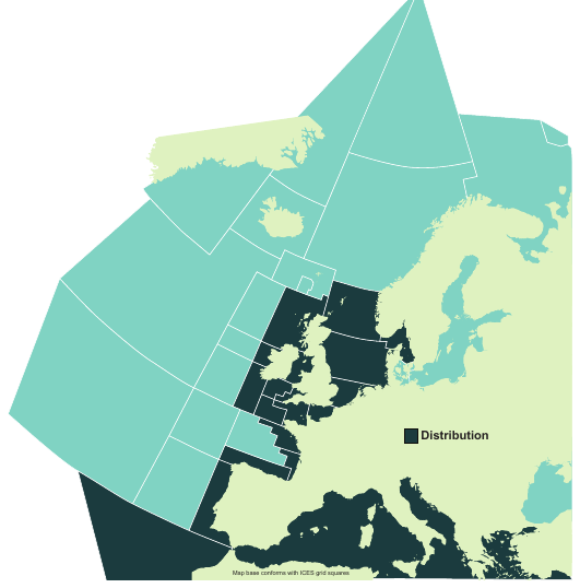 Map of the known distribution of the Smallspotted Catshark