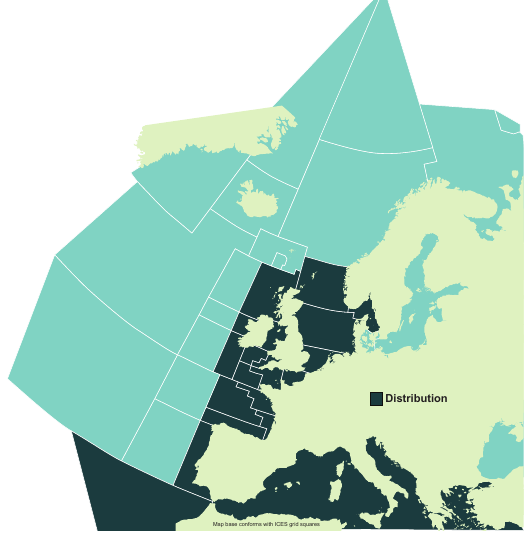 Map of the known distribution of the Starry Smoothhound