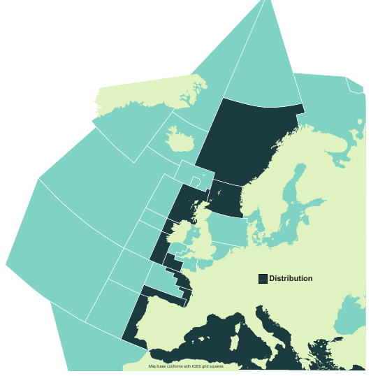 Map of the known distribution of the Angular Roughshark