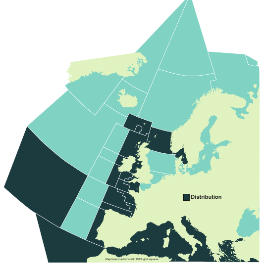 Map of the known distribution of the Blackmouth Catshark