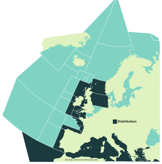 Map of the known distribution of the Bramble Shark