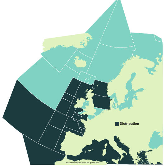 Map of the known distribution of the Kitefin Shark