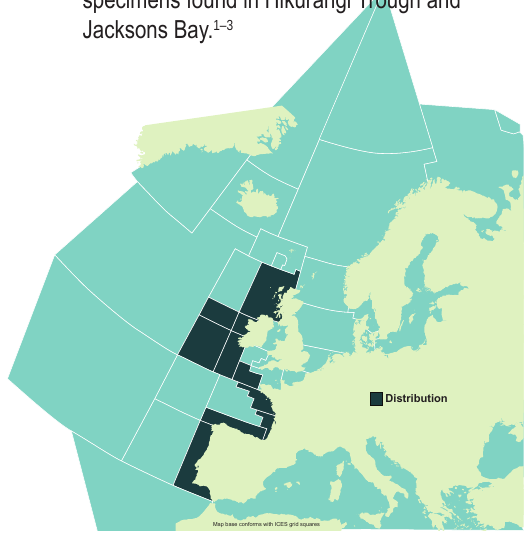 Map of the known distribution of the Knifetooth Dogfish