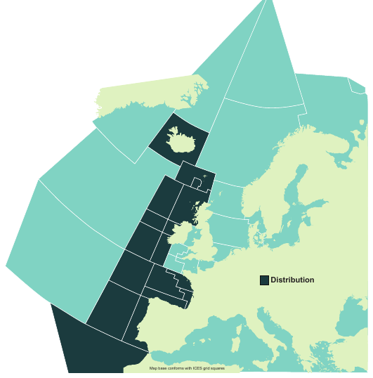 Map of the known distribution of the Mouse Catshark