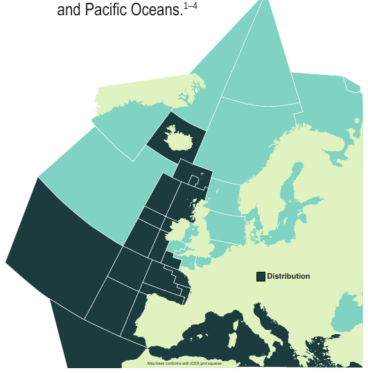 Map of the known distribution of the Portuguese Dogfish