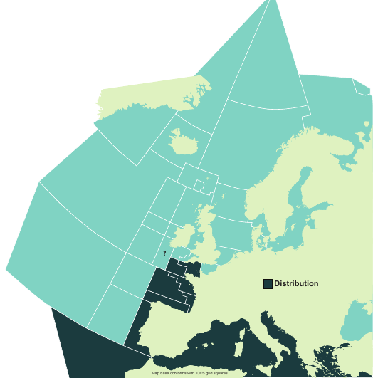Map of the known distribution of the Smooth Hammerhead Shark