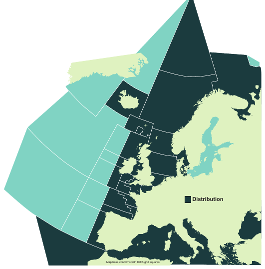 Map of the known distribution of the Spurdog