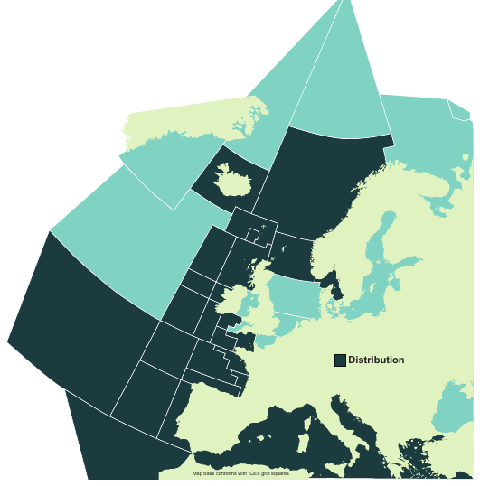 Map of the known distribution of the Velvet Belly Lanternshark