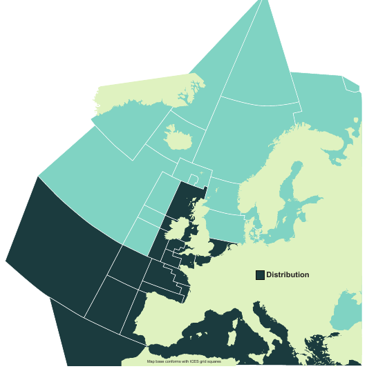 Map of the known distribution of the Common Eagle Ray