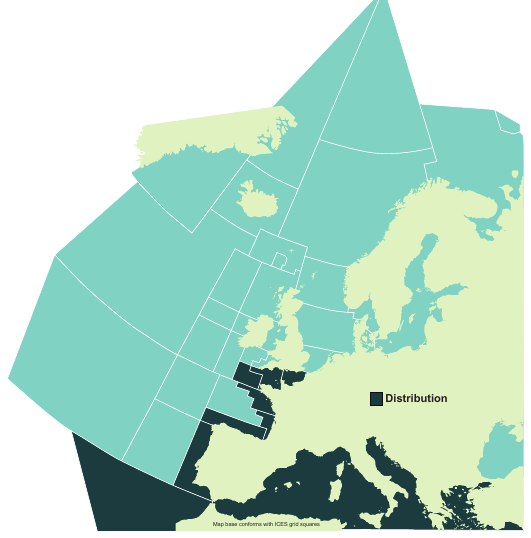 Map of the known distribution of the Marbled Torpedo Ray