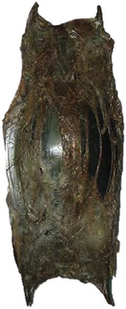 Illustration of the Norwegian Skate eggcase