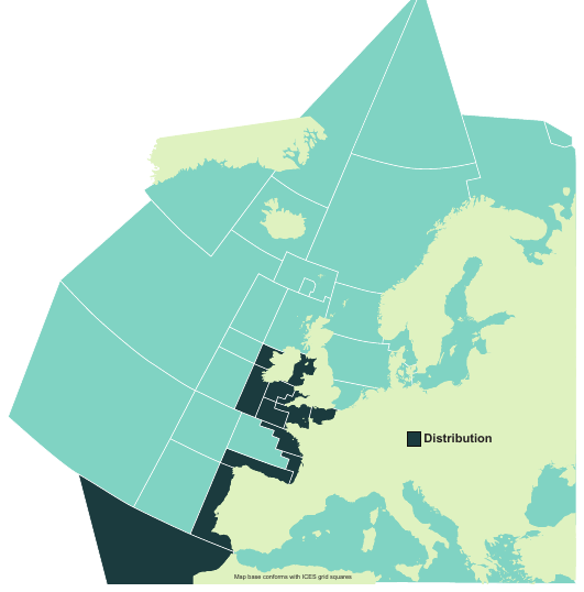 Map of the known distribution of the Small-eyed Ray